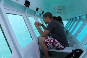 Paquete Glass Bottom Boat + Roatán Island Tour 